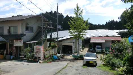 山本観光ぶどう園の画像