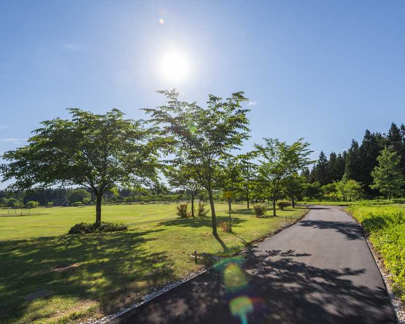 北欧の杜公園サイクリングコースの画像