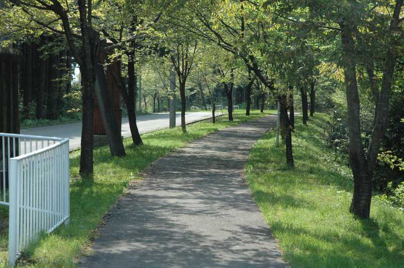 奥羽山荘サイクリングコースの画像