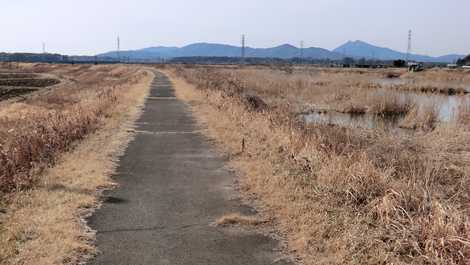 恋瀬川サイクリングコースの画像