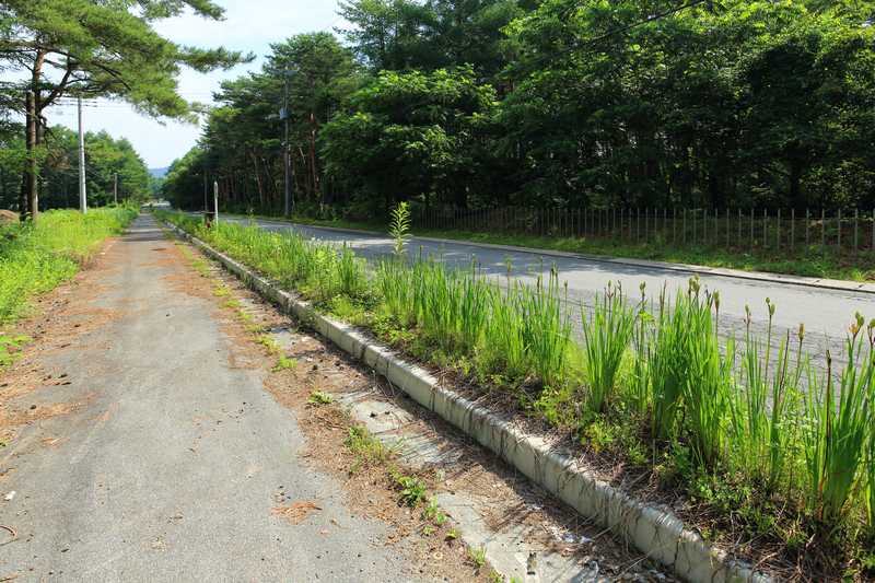 一般県道富士吉田山中湖自転車道線の画像