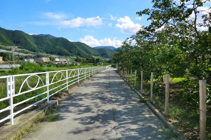 重川サイクリングロードの画像