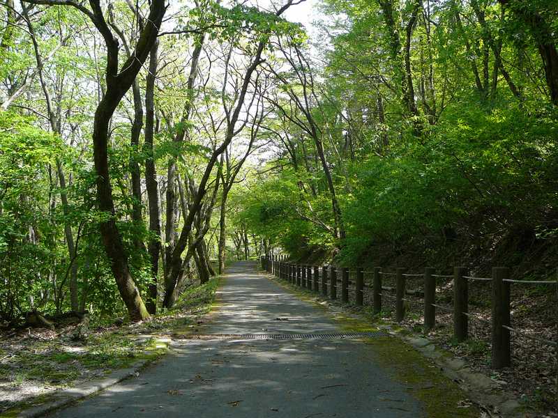 三瓶山ヘルシートレーリングコースの画像