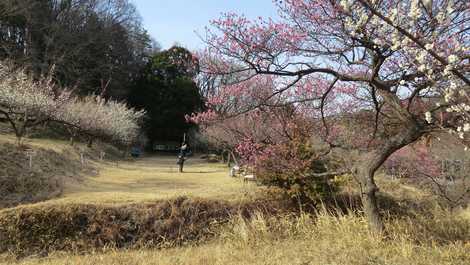 神奈川国際フィールドアーチェリー（戸塚/その他スポーツ施設 ...