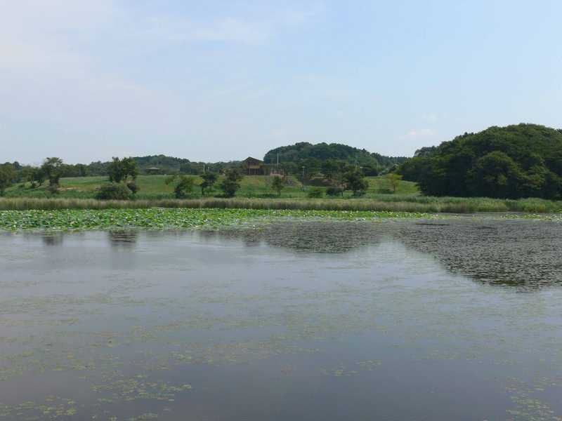 切伏沼の画像