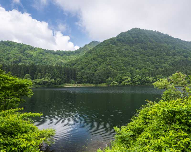 板戸沼の画像