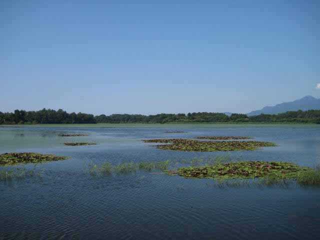 朝日池の画像