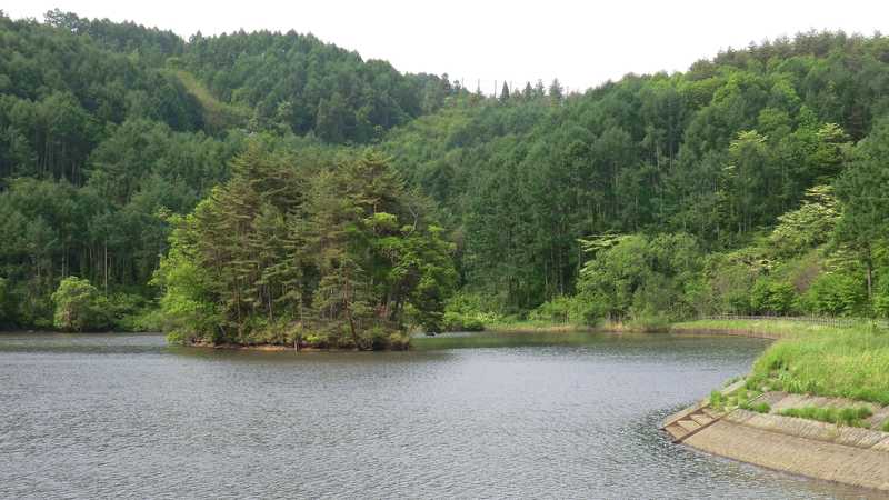 大花見池の画像