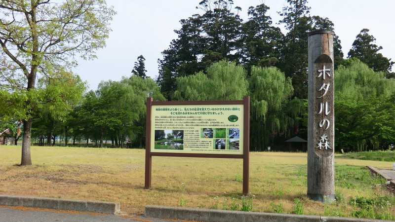 やすらぎ広場ホタルの森公園の画像