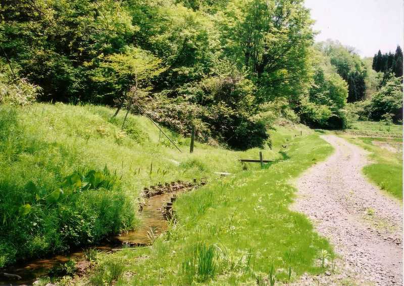 越路ほたるの里の画像