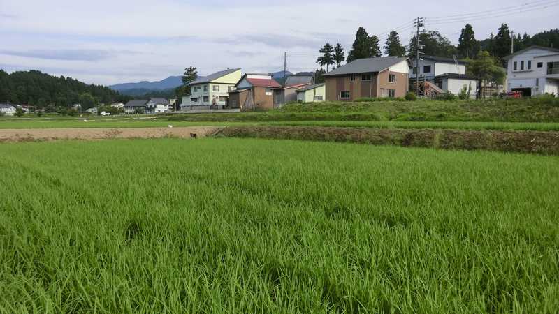 石橋集落の画像