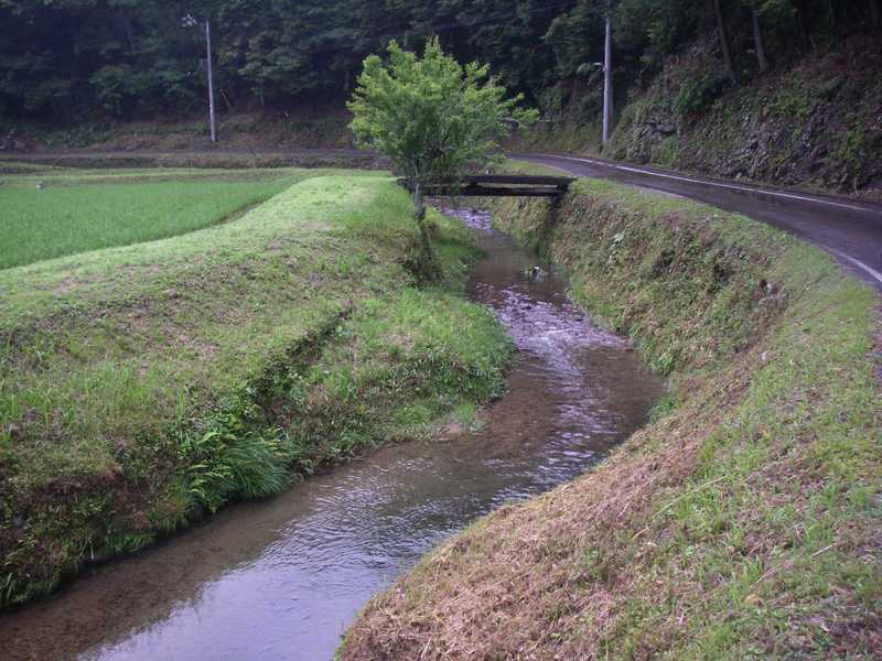 間見川周辺の画像