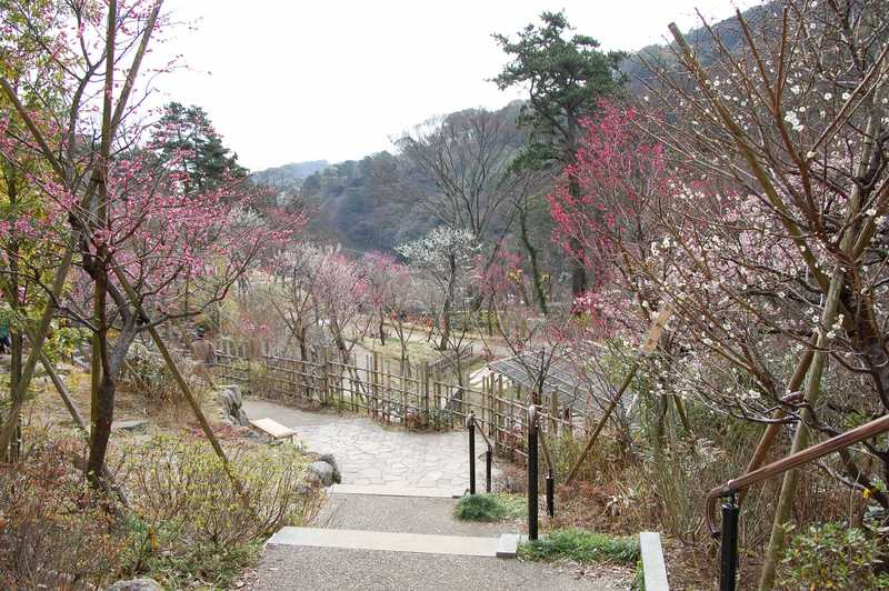 熱海梅園内初川の画像