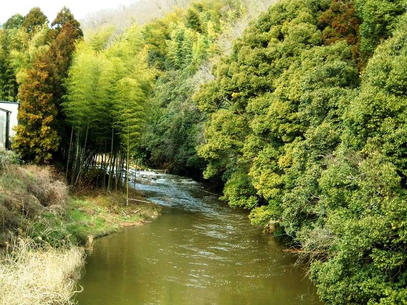 男川上流の画像