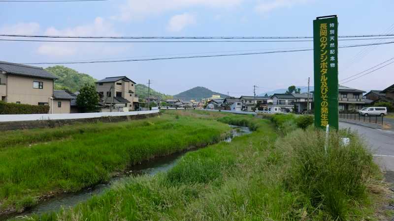 天野川の画像