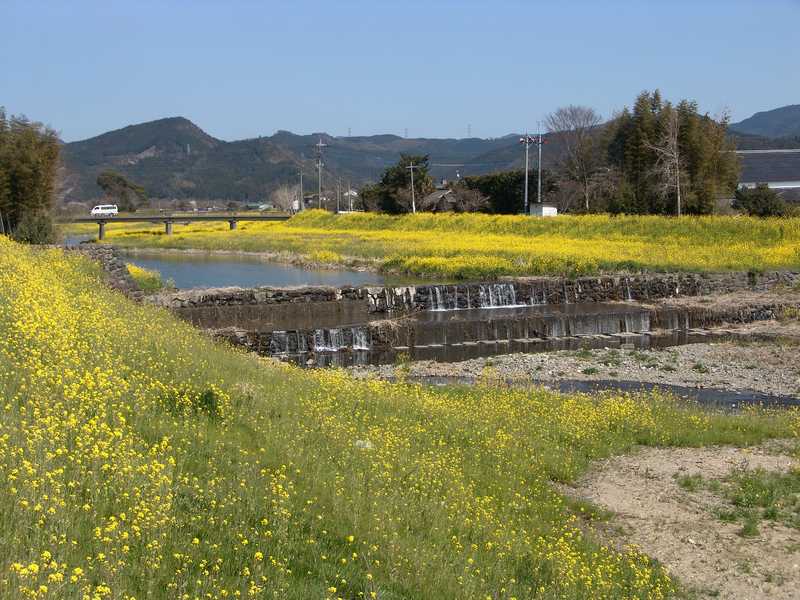 佐田川の画像