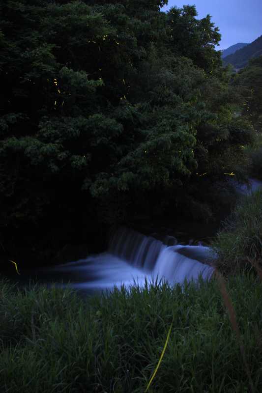 山江温泉ほたる亭の画像