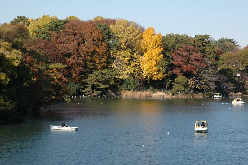 洗足池の画像