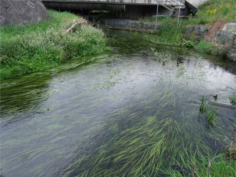 小見川の画像