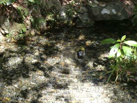 黒部川扇状地湧水群 黒部川扇状地湧水群の画像