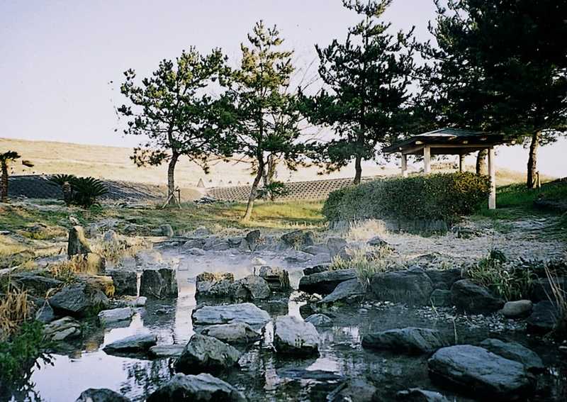 江川の湧水の画像