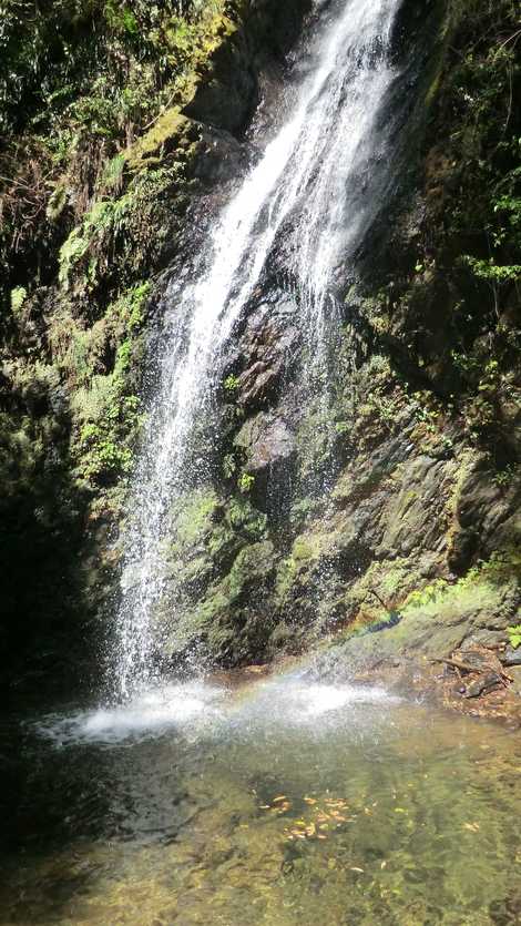 綾川湧水群 綾川湧水群の画像