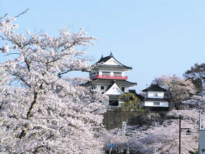 わくや桜まつり 大崎 の施設情報 ゼンリンいつもnavi