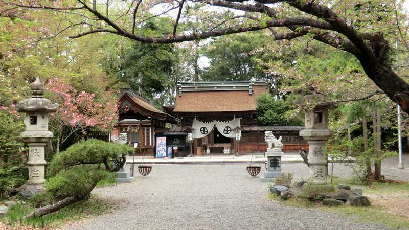 治水神社大祭の画像