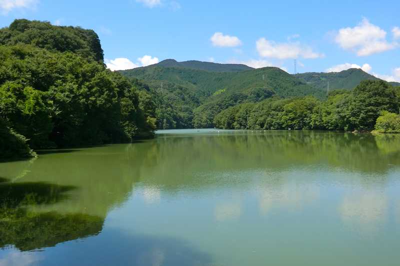 荒川玉淀ダム上流付近の画像