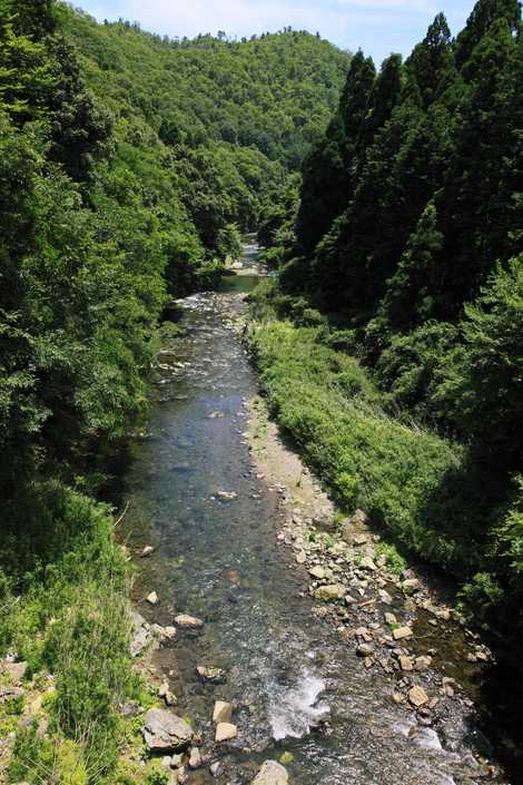 賀茂川 修学院 岩倉 八瀬 大原 渓流釣り の施設情報 いつもnavi