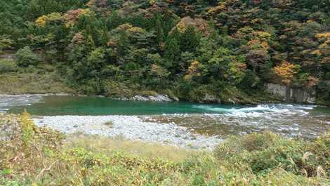 吉野川下名小学校付近 徳島県西部 渓流釣り の施設情報 いつもnavi