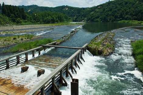 川口やな場 川口やな場の画像