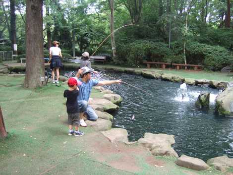 場 キャンプ 清水 公園