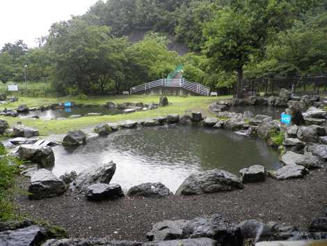 甲府市営右左口の里 甲府市営右左口の里の画像
