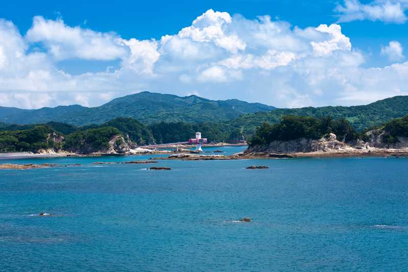 竜串海中公園観光の画像