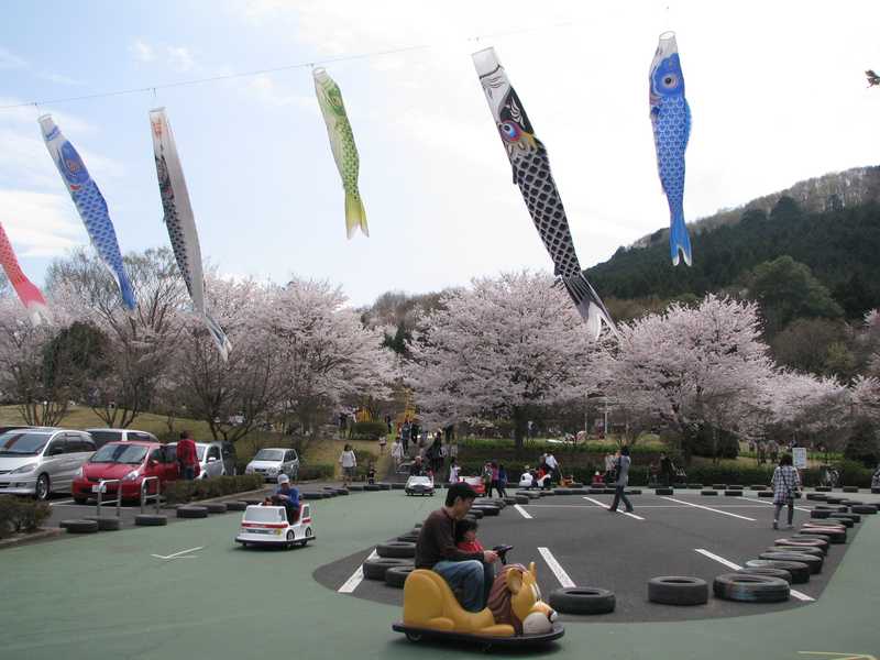 つがの里花まつりの画像