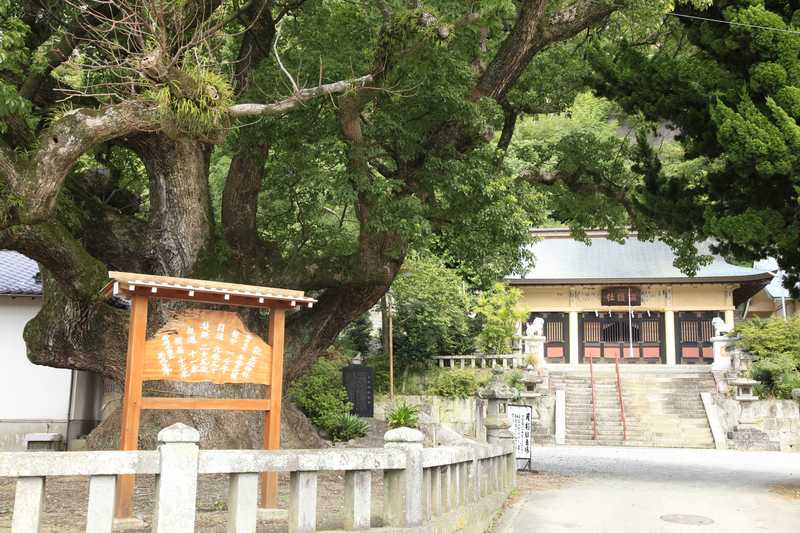 土肥神社例大祭の画像