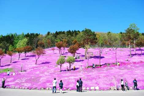 滝上公園の画像