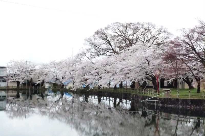 真人公園の画像