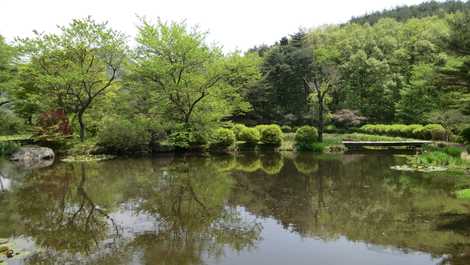 母成高原あやめ園 母成高原あやめ園の画像