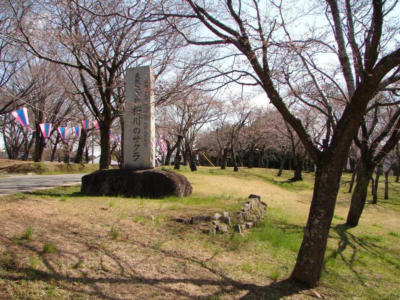 桜川公園の画像