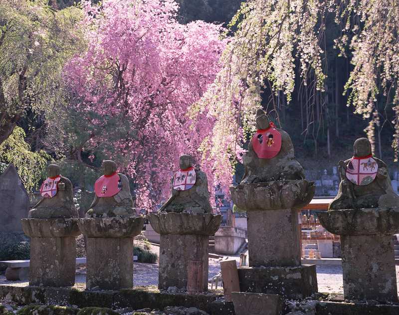 清雲寺の画像