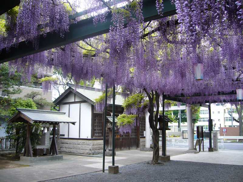 国領神社の画像