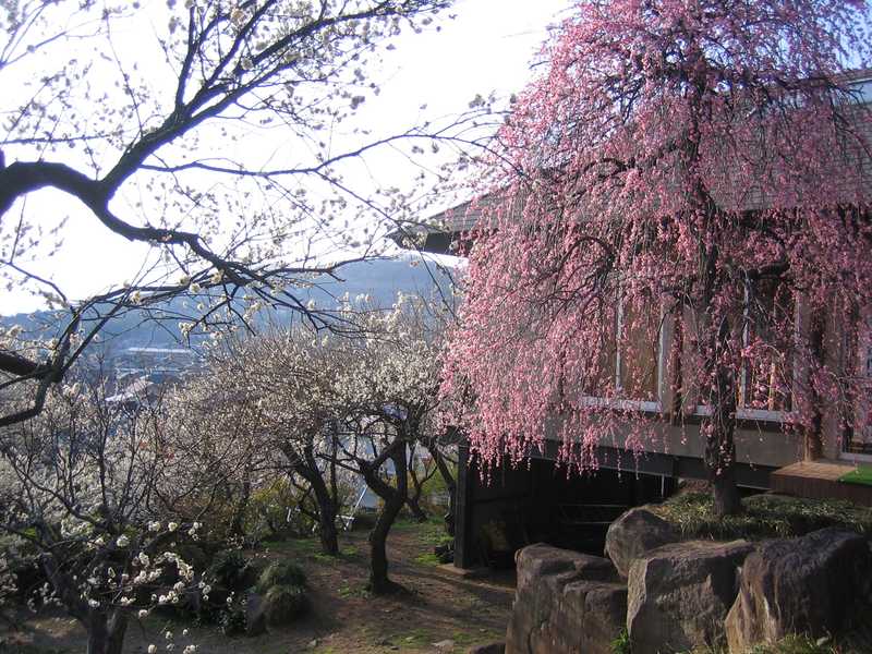 不老園の画像