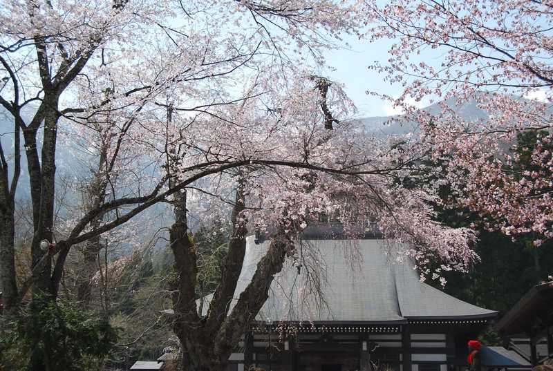 貞麟寺周辺の画像