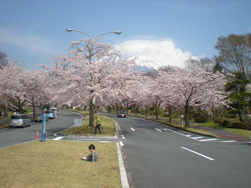 富士桜自然墓地公園 富士 富士宮 の施設情報 ゼンリンいつもnavi