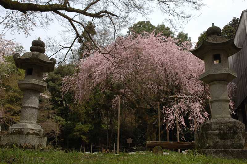 井伊神社の画像