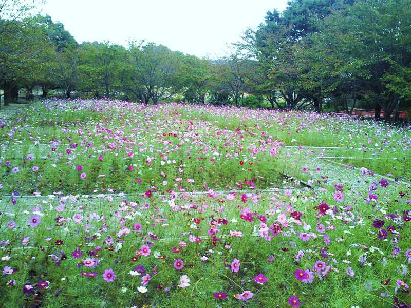 水間公園の画像