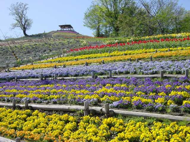 但馬牧場公園の画像