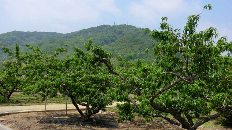 赤磐市西中西山地域の画像